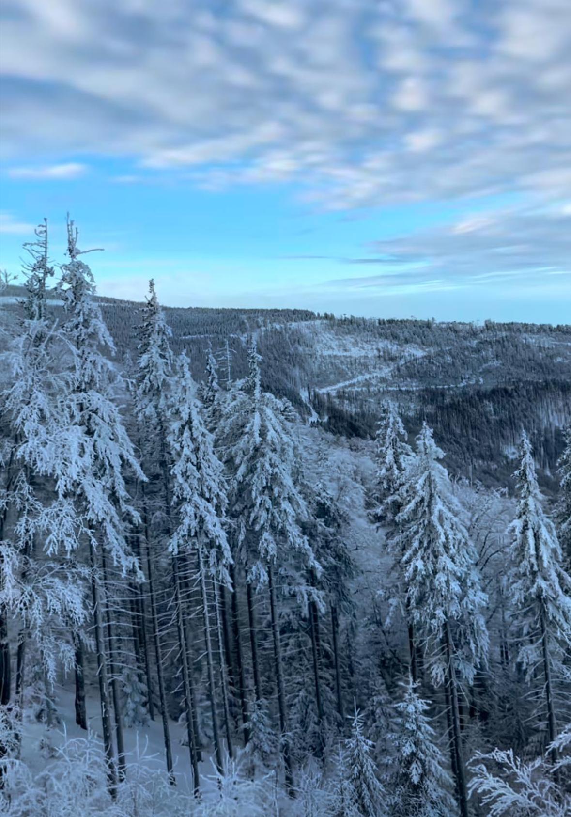 Villa Pod Skrzycznem Szczyrk Buitenkant foto